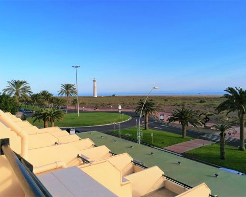 Apartment im Palm Parden